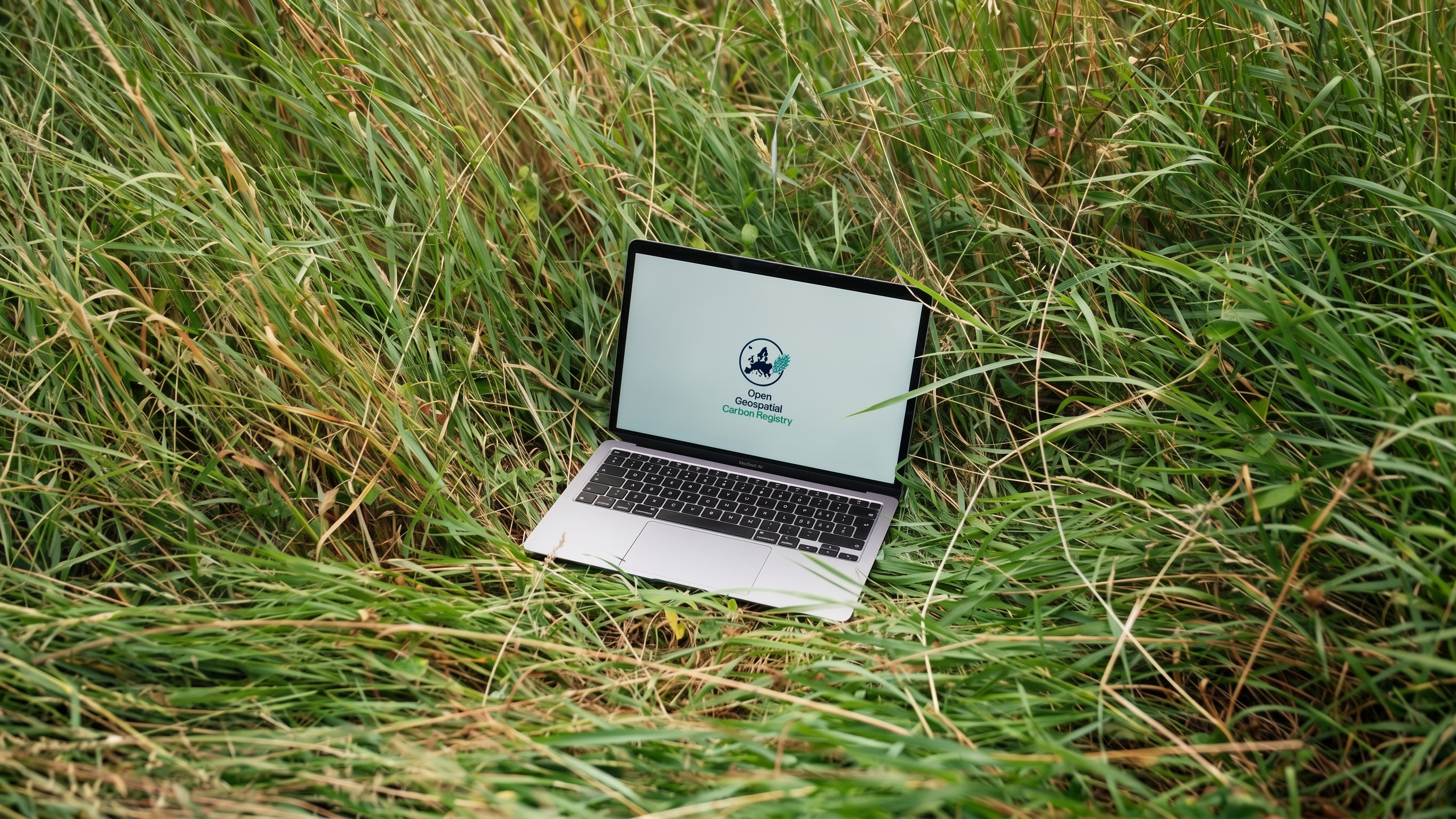 Using the Insights dashboard on a laptop outdoors