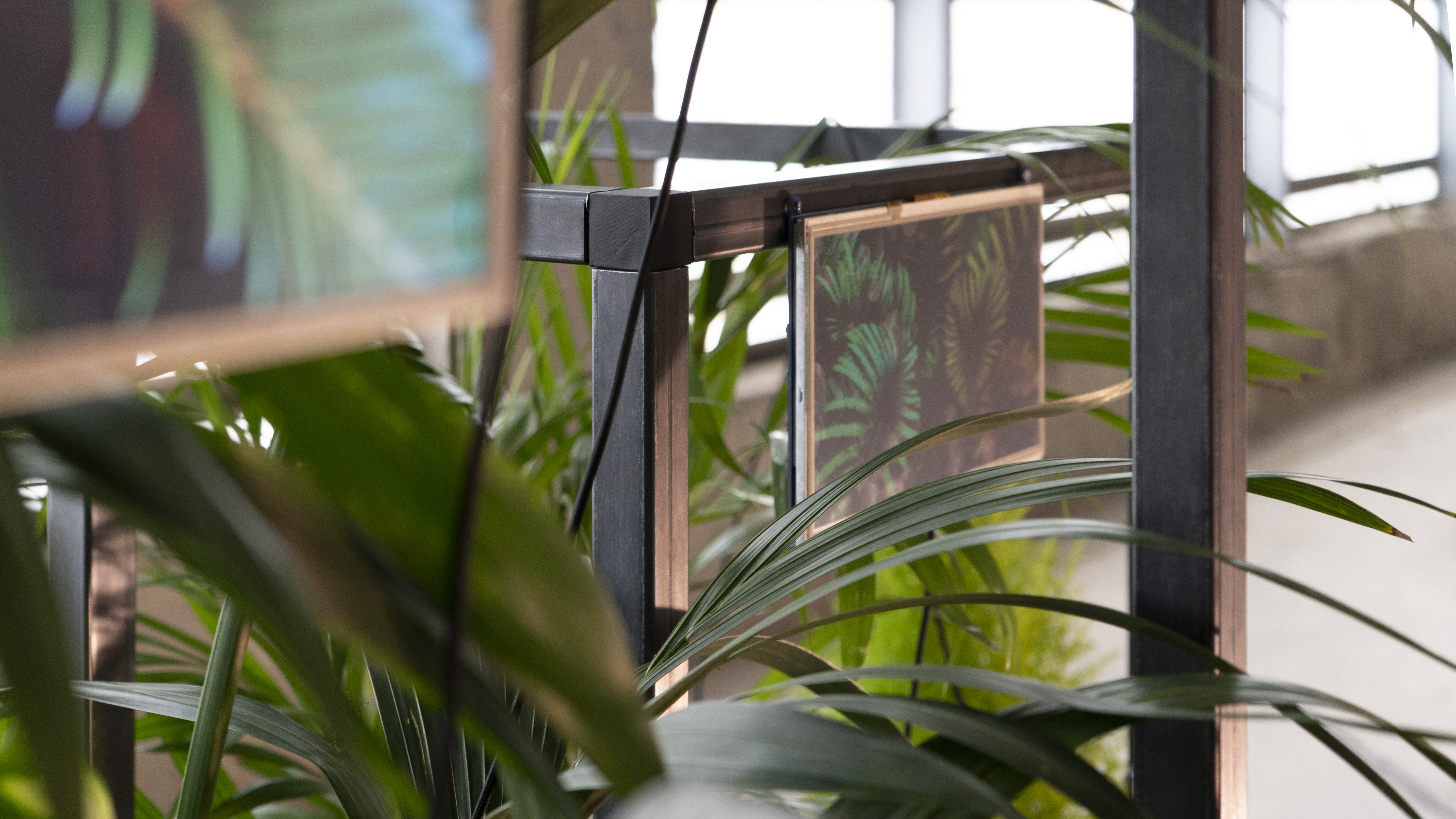 Symbiosis project showcase