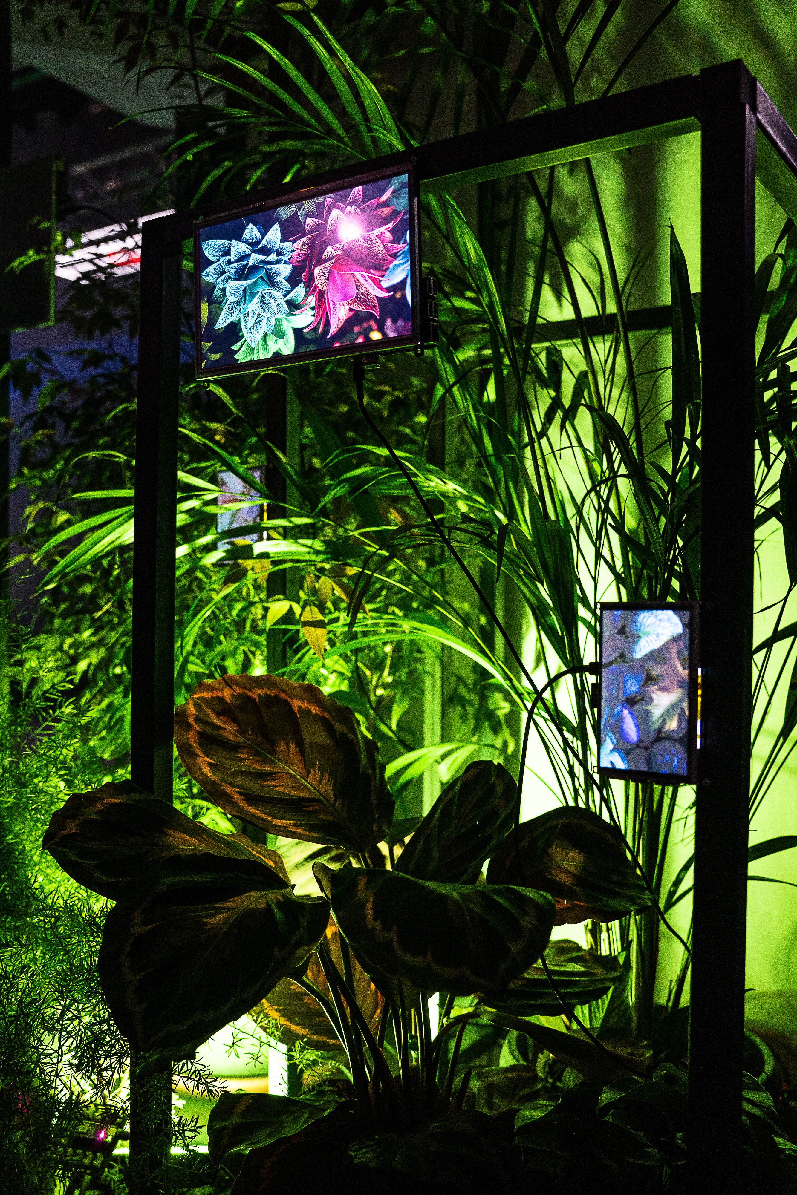 Symbiosis installation at NAMA, Milano