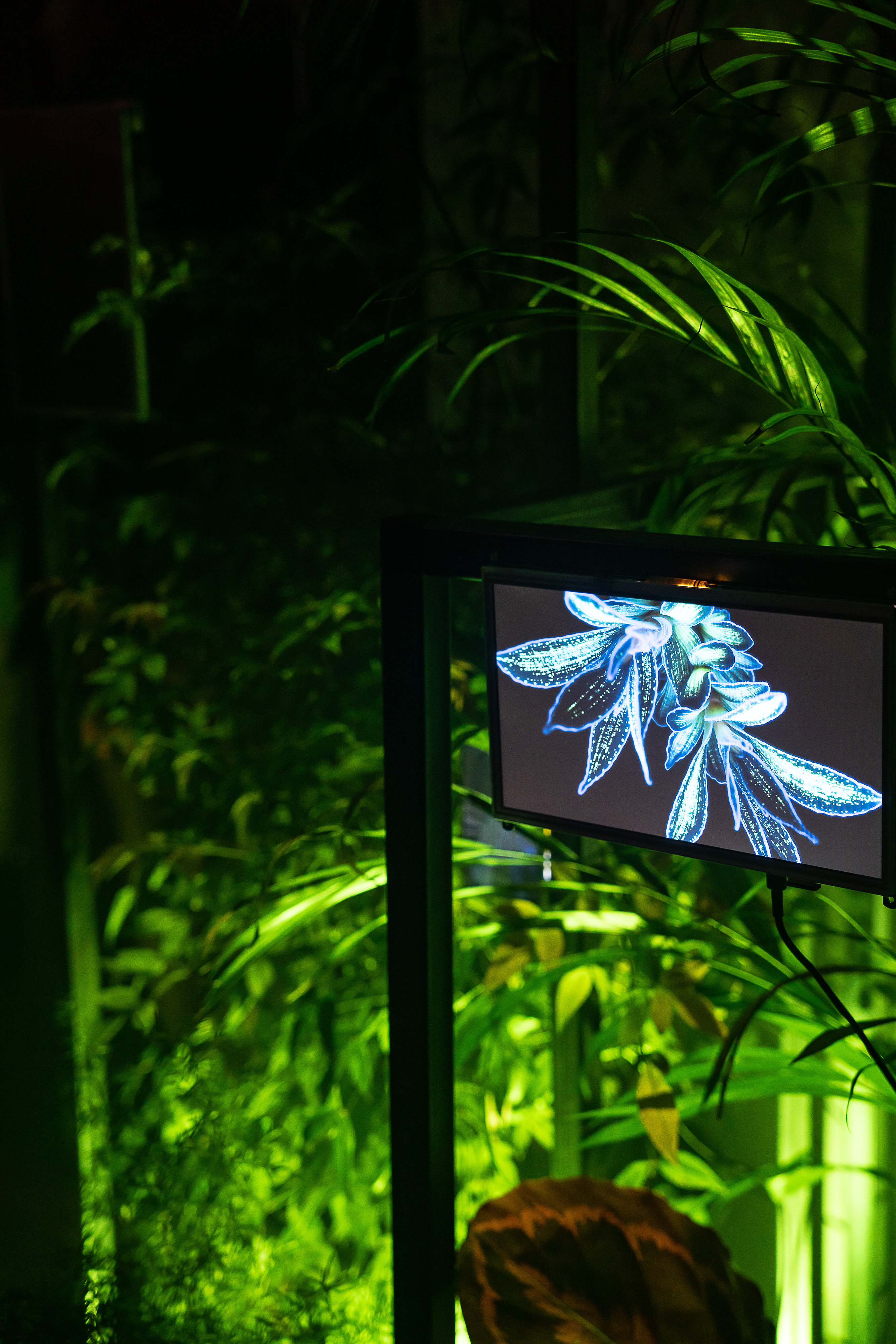 Exhibition at NAMA 4