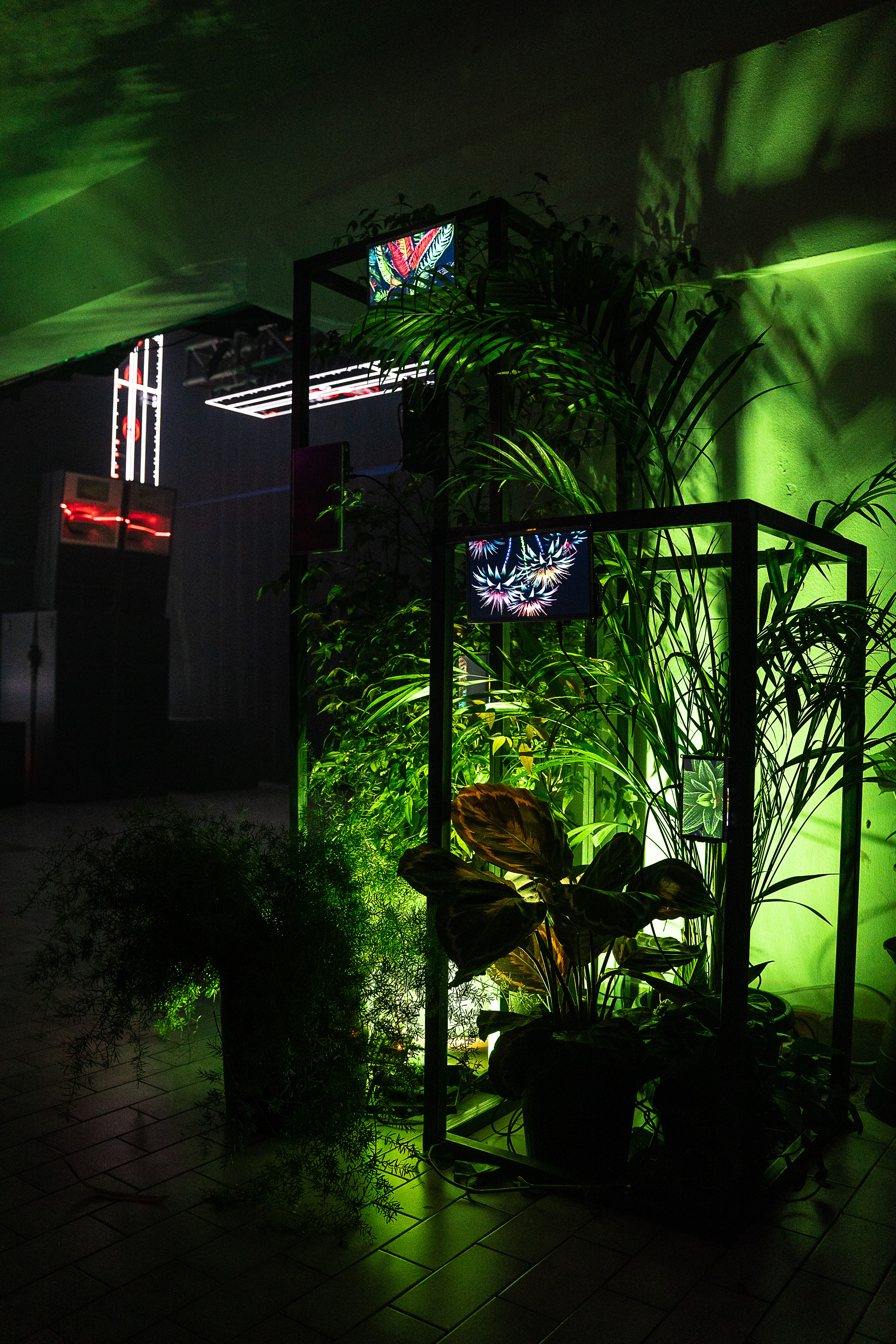 Exhibition at NAMA 5