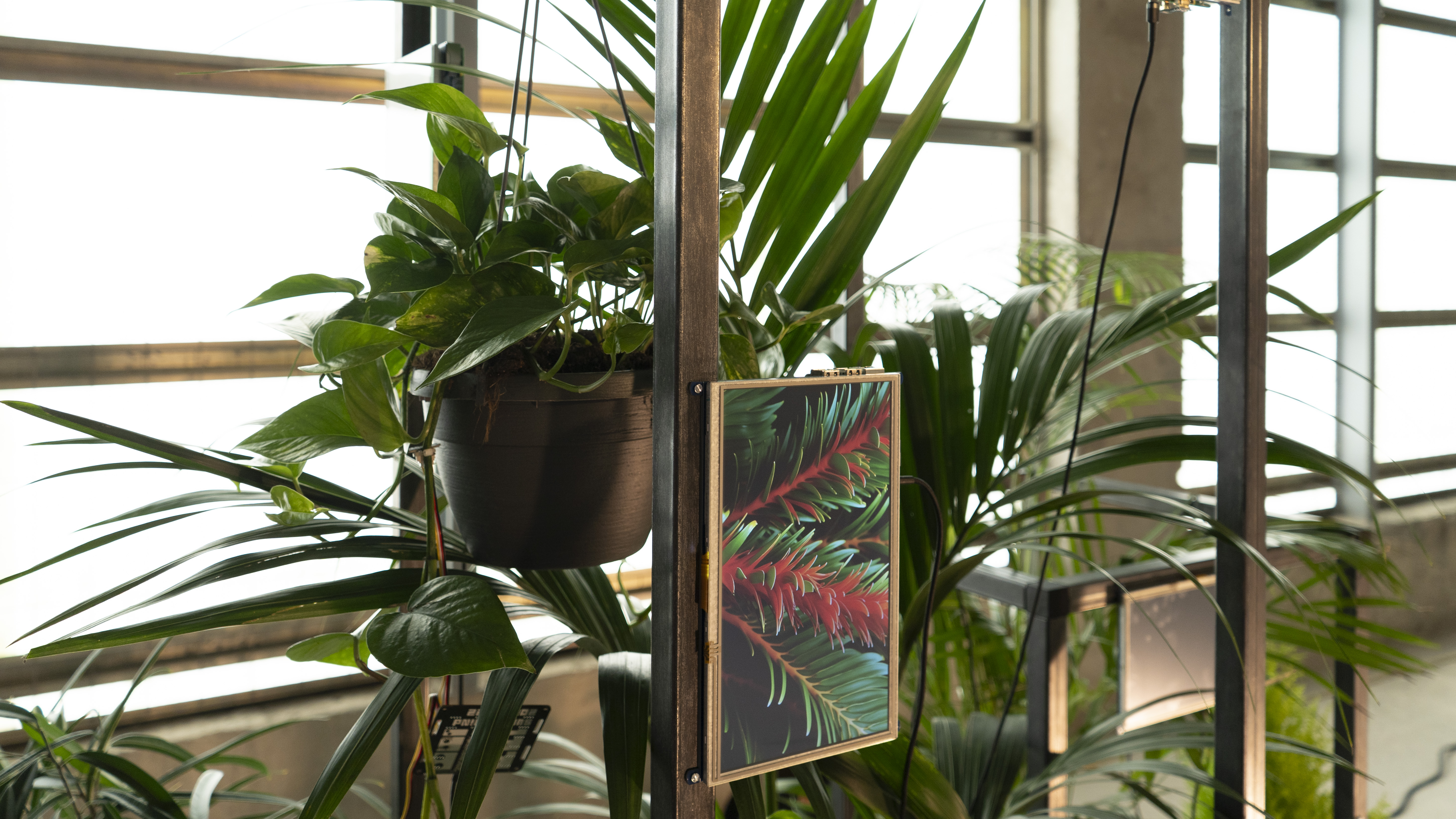 Exhibition at Saceba 4
