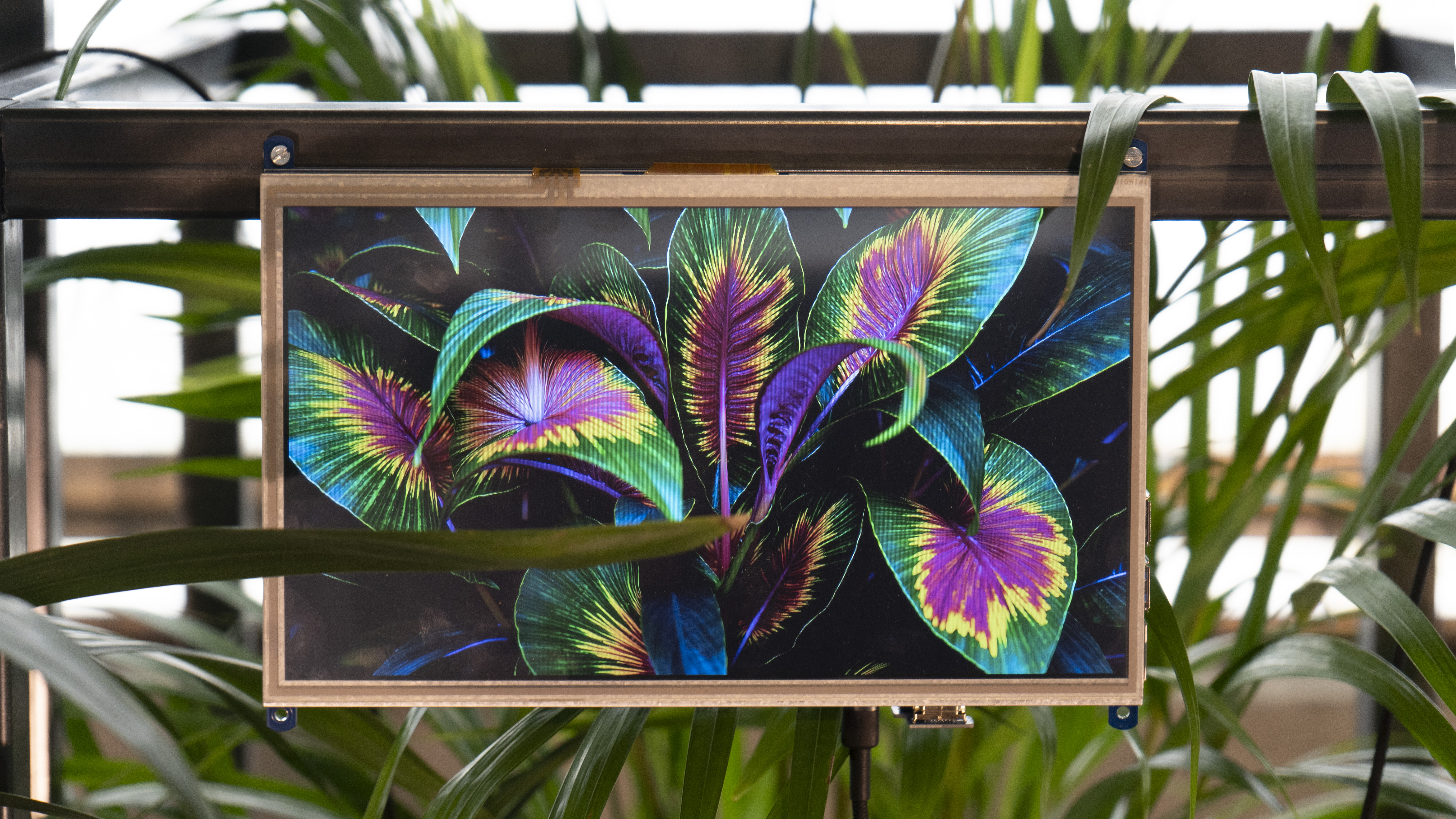 Exhibition at Saceba 7