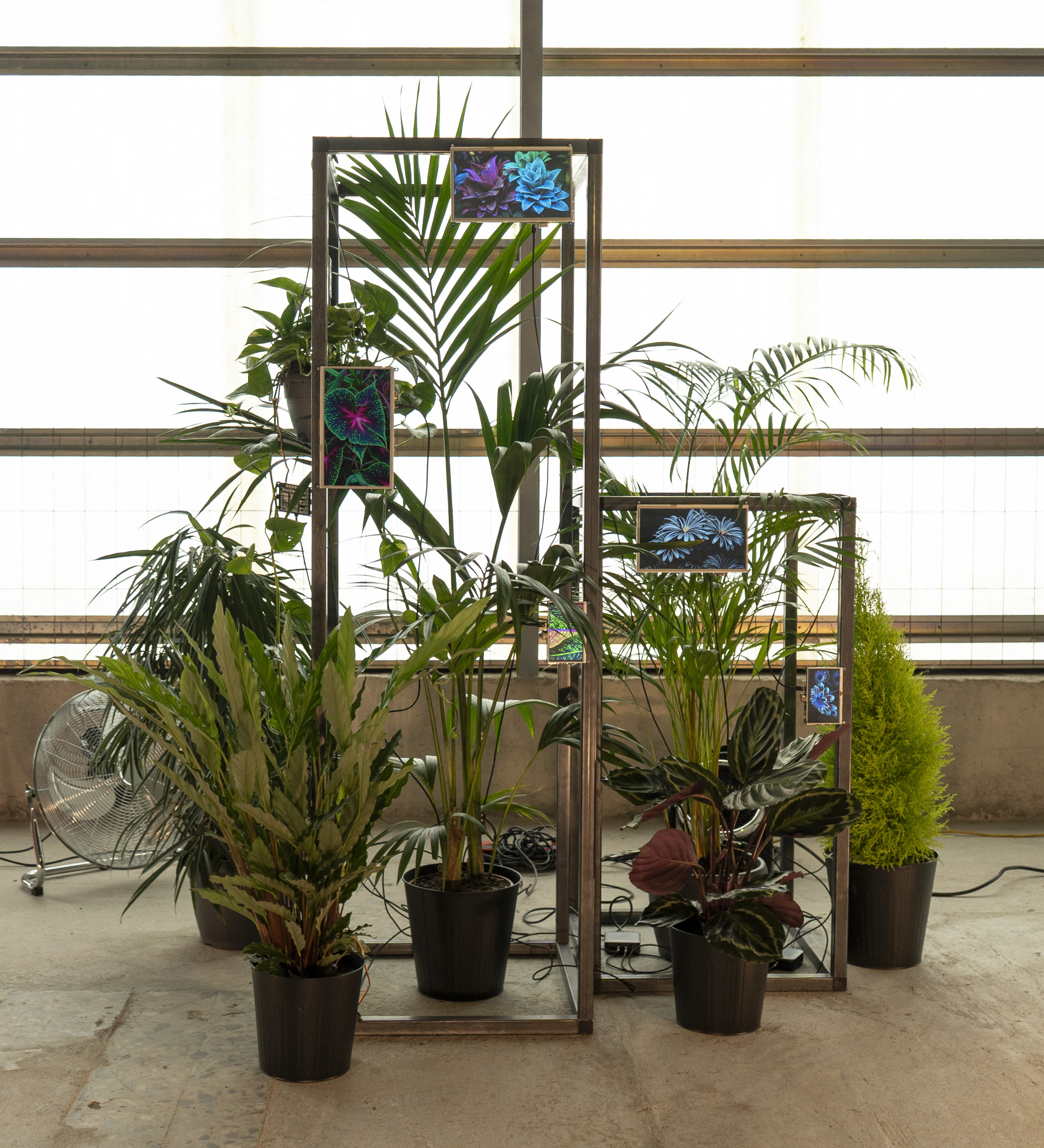 Team assembling the plant and metal-frame prototype in an industrial studio